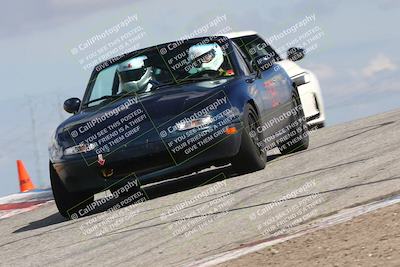 media/Mar-31-2024-Speed Ventures (Sun) [[a3b2bf813d]]/Purple/Session 2 (Grapevine)/